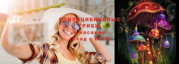 ГАЛЛЮЦИНОГЕННЫЕ ГРИБЫ Алексин