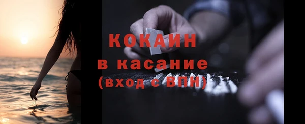 твердый Алзамай
