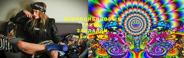 ГАЛЛЮЦИНОГЕННЫЕ ГРИБЫ Алексин