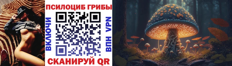 Галлюциногенные грибы Psilocybe  shop Telegram  Осинники 